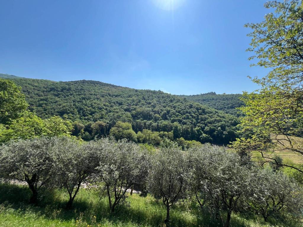 Rustico / casale a Grezzana - Foto 4