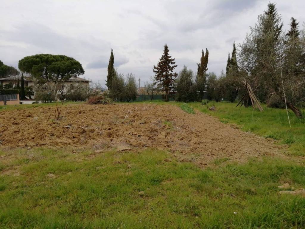 Terreno a Pontedera in Il Romito - Foto 2