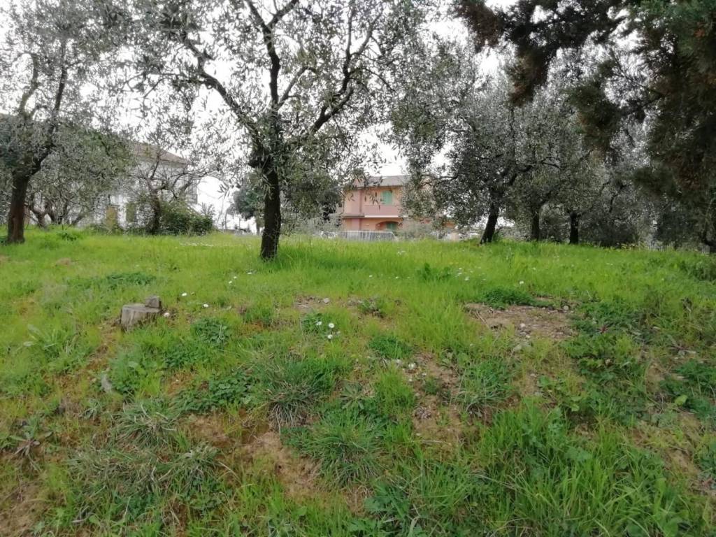 Terreno a Pontedera in Il Romito - Foto 3