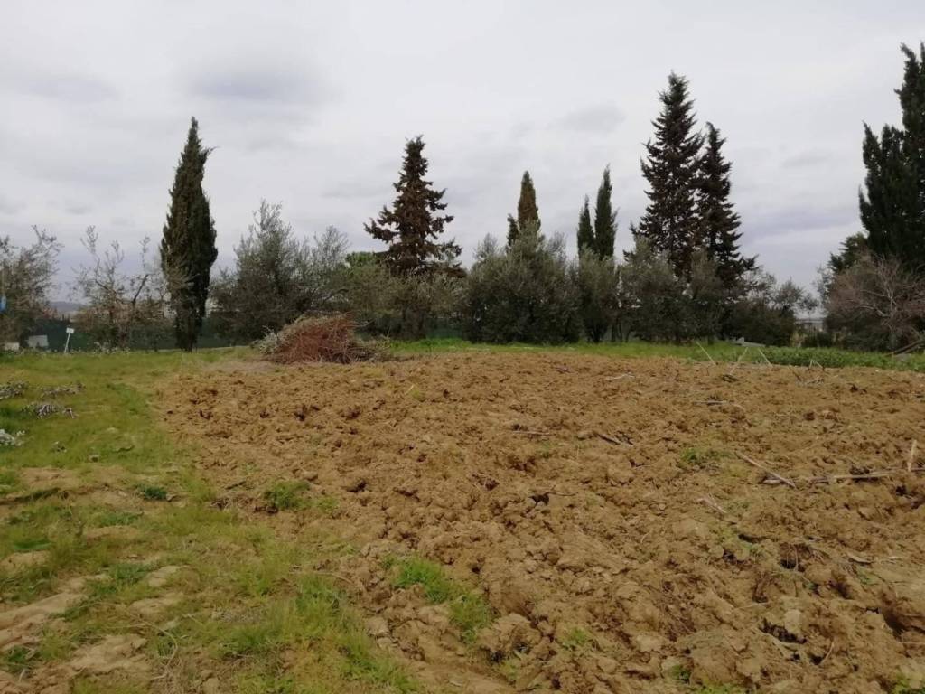 Terreno a Pontedera in Il Romito - Foto 4