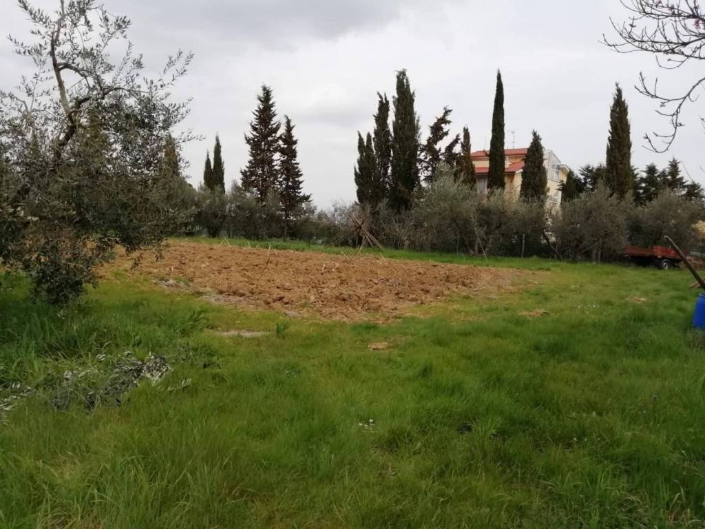 Terreno a Pontedera in Il Romito - Foto 5