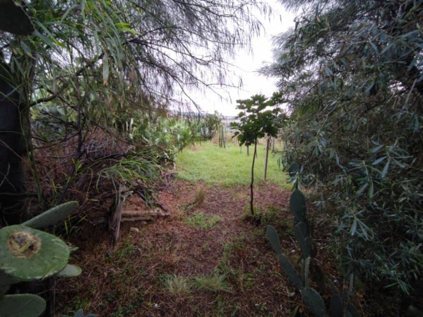 Terreno a Reggio calabria - Foto 3