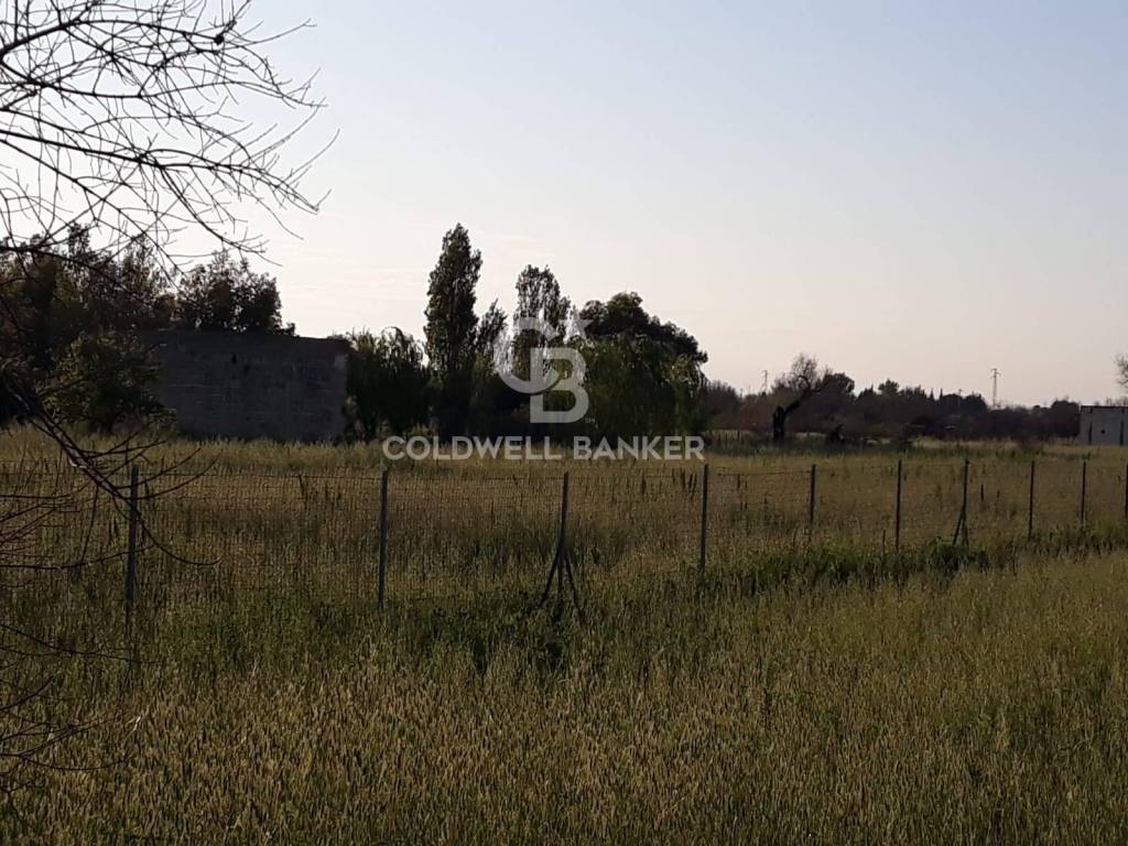 Terreno a Parabita in Strada Vicinale Mercurine Conche - Foto 3