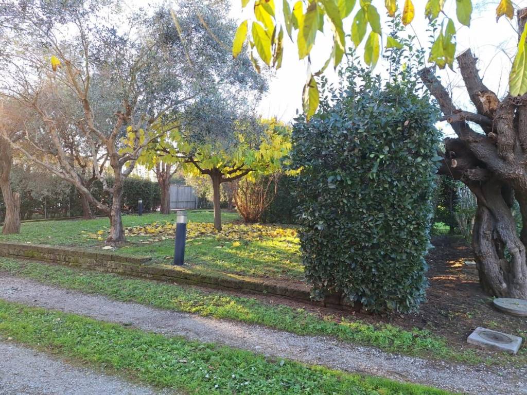 Rustico / casale a Cascina in Via Ivan Rocchi, - Foto 3