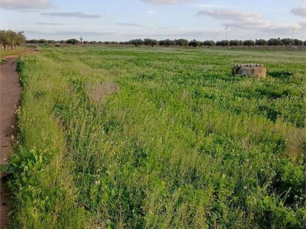 Terreno a Mazara del vallo - Foto 2