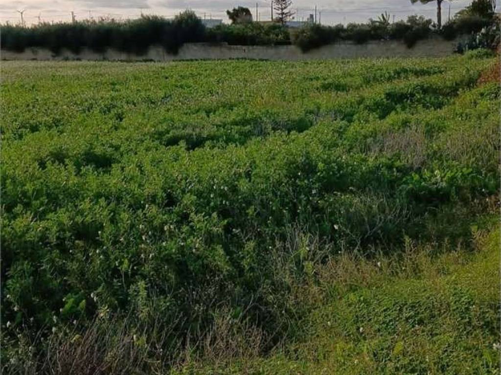Terreno a Mazara del vallo - Foto 3