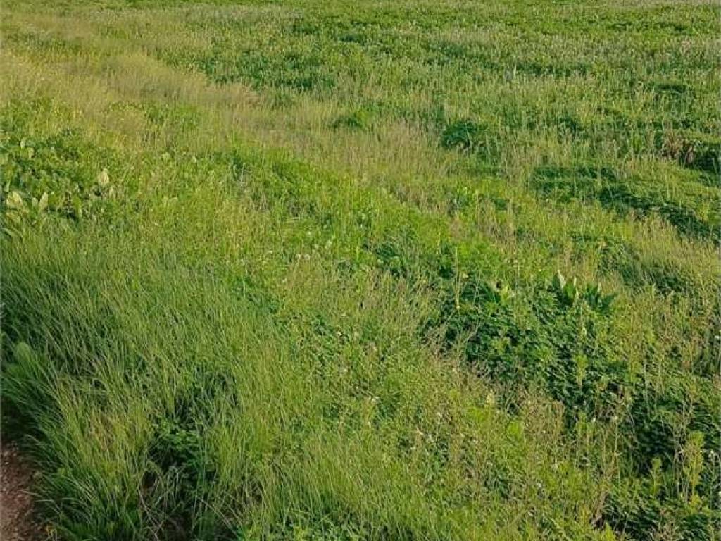 Terreno a Mazara del vallo - Foto 4