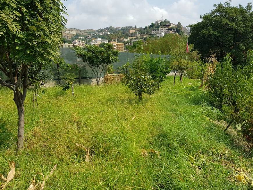 Terreno a Reggio calabria - Foto 3