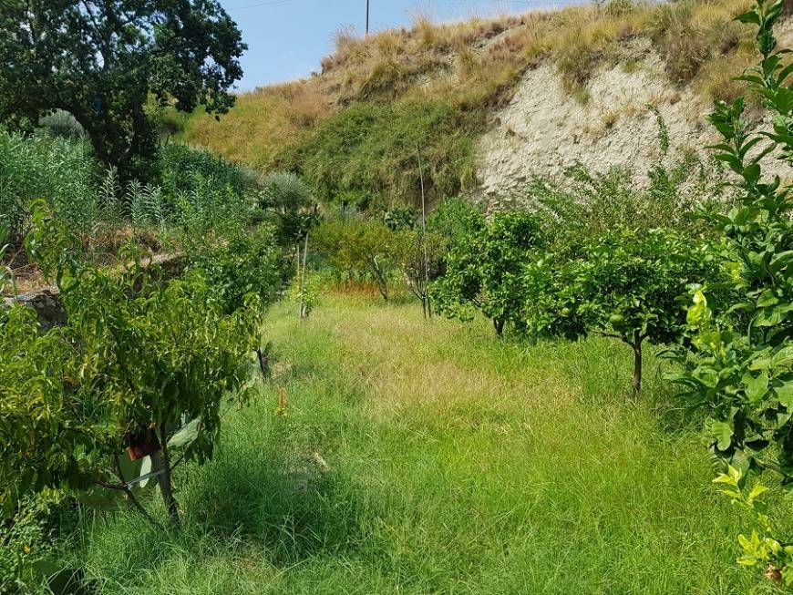 Terreno a Reggio calabria - Foto 4