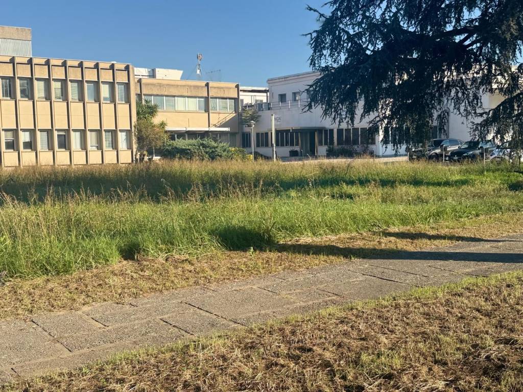 Immobile a San marco evangelista in Viale Carlo III di Borbone - Foto 5