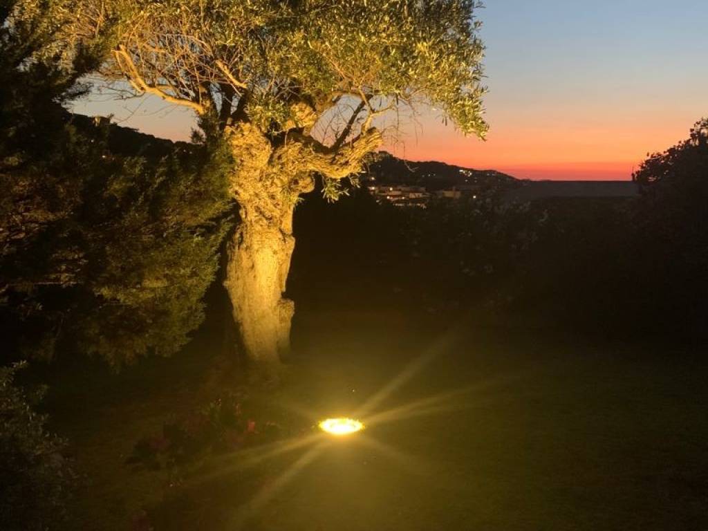 Appartamento a Arzachena in Via Porto Cervo, 8 - Foto 3