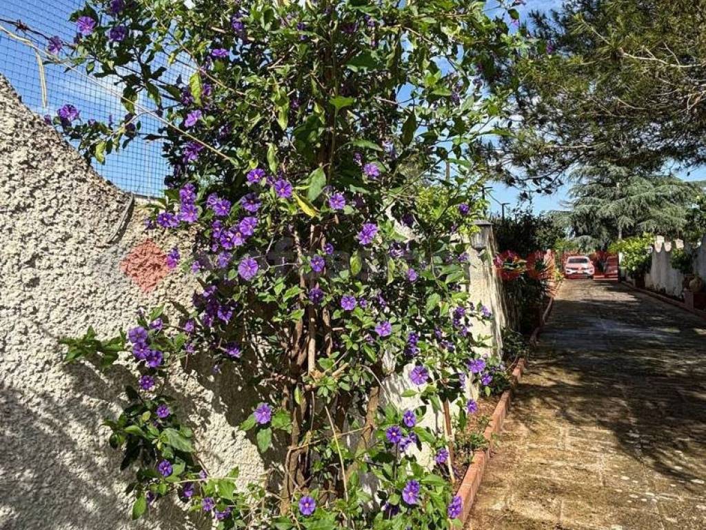 Villa a Martina franca in Contrada Franzullo, 97 - Foto 5