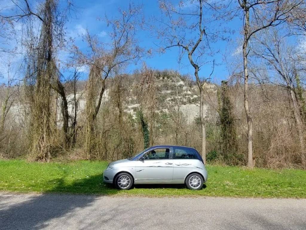 immagine di copertina