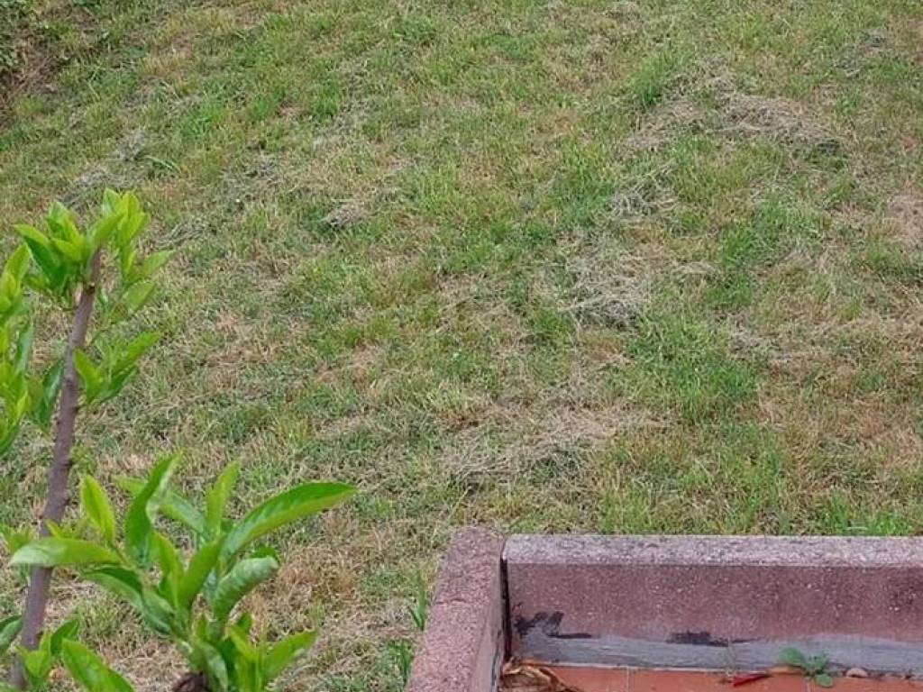 Appartamento a Casalgrande in Via Ferrovia - Foto 4
