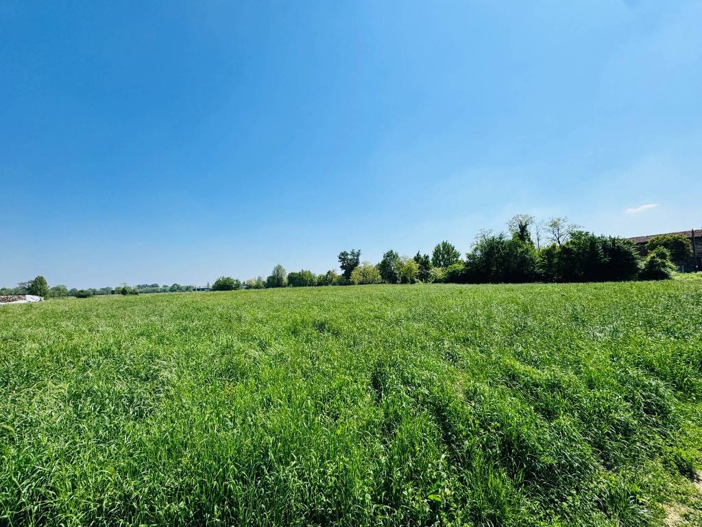 Terreno a San paolo in Via Vittorio Veneto, 19 - Foto 5