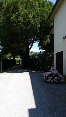 Rustico / casale a Orbetello - Foto 2