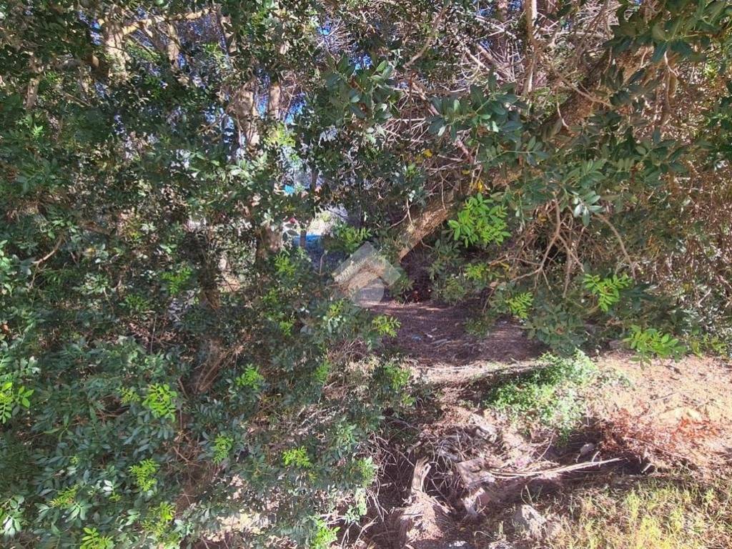 Terreno a Sant'antioco in Via Golfo di Palmas, 45 - Foto 5
