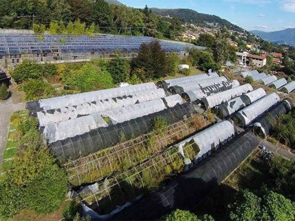 Terreno a Verbania in Via Sicilia - Foto 5