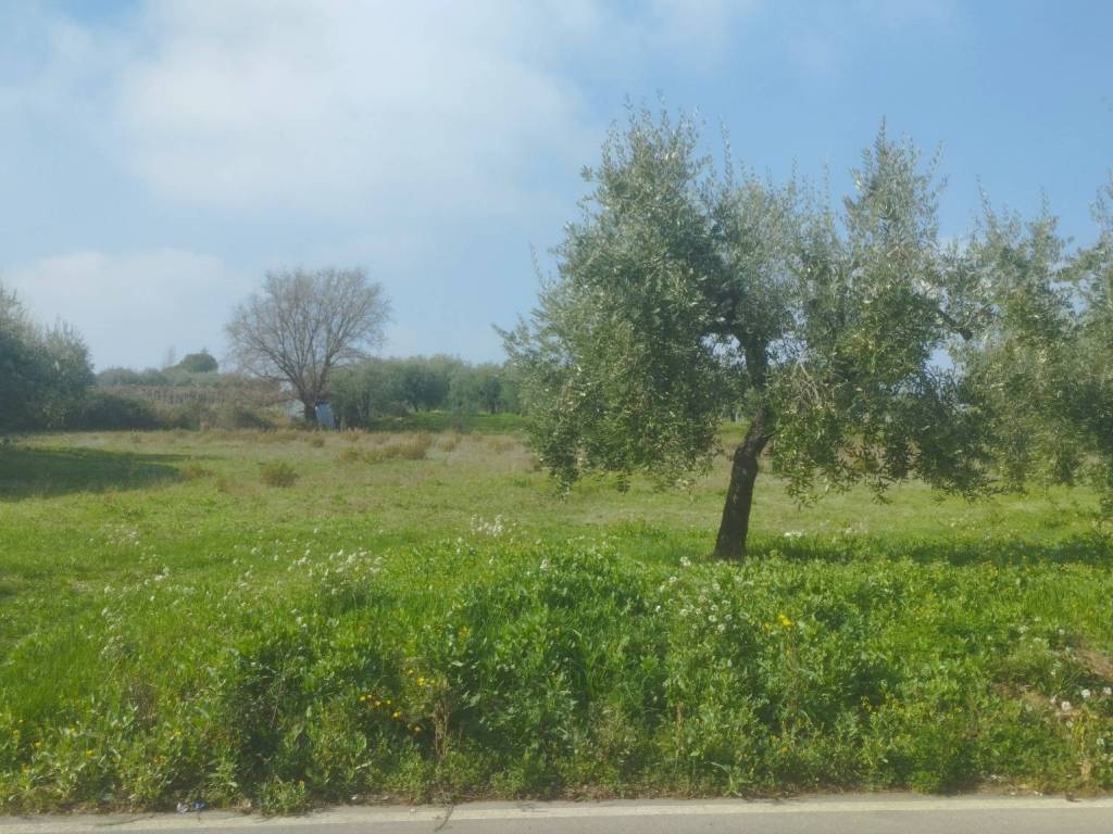 Terreno a Ortona in Strada Comunale Villa Iubatti - Foto 2