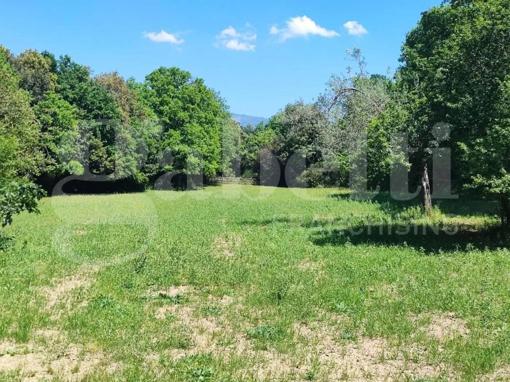 Rustico / casale a Sessa aurunca in via cupa sessa, snc - Foto 4