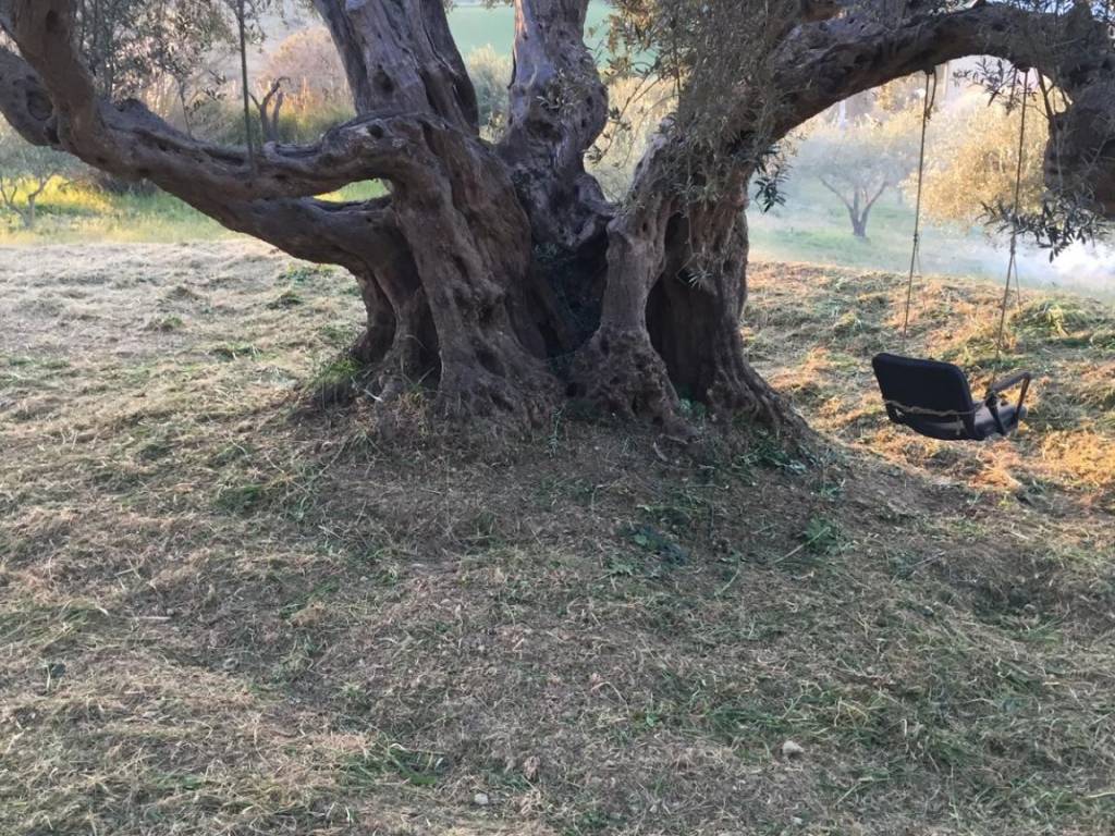 Terreno a Enna in Strada Vicinale Torre - Foto 2