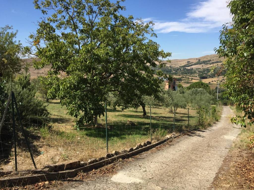 Terreno a Enna in Strada Vicinale Torre - Foto 3