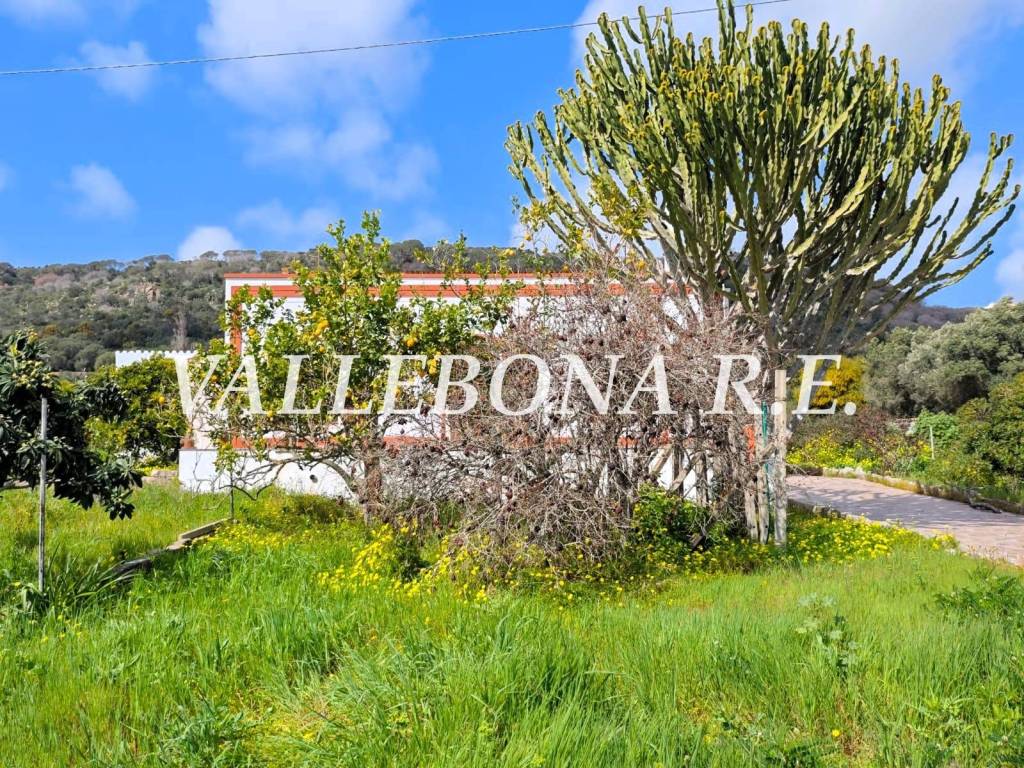 Villa a Carloforte in Località Macchione - Foto 3