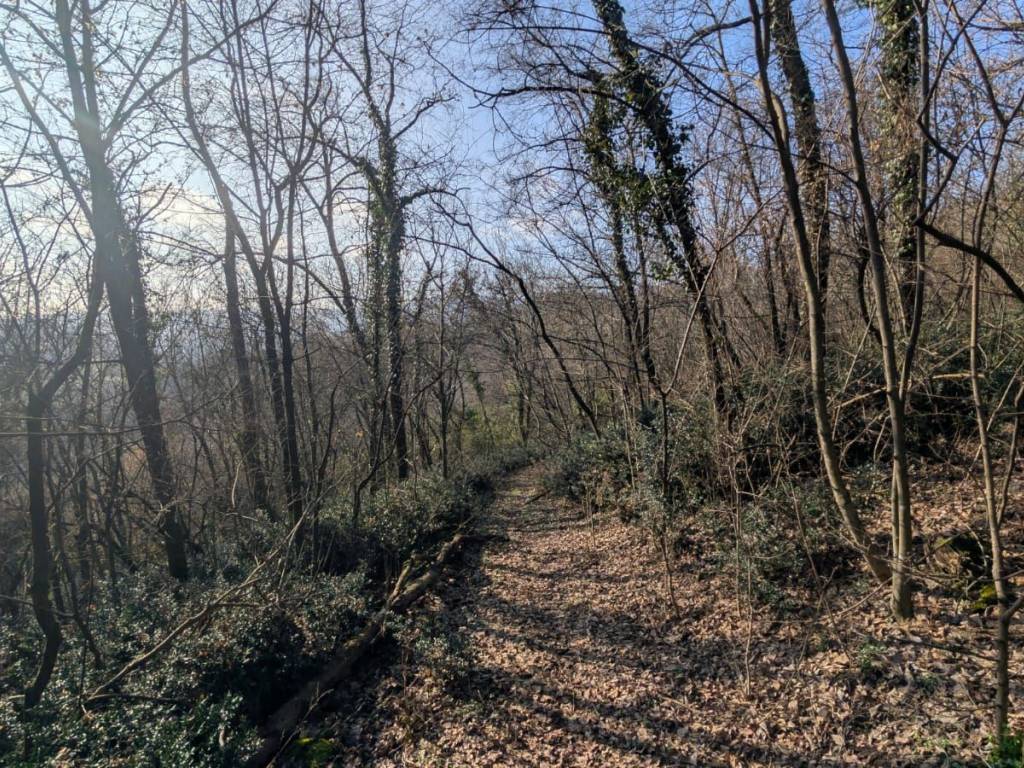 Terreno a Arzignano in Via Fratta Bassa - Foto 3