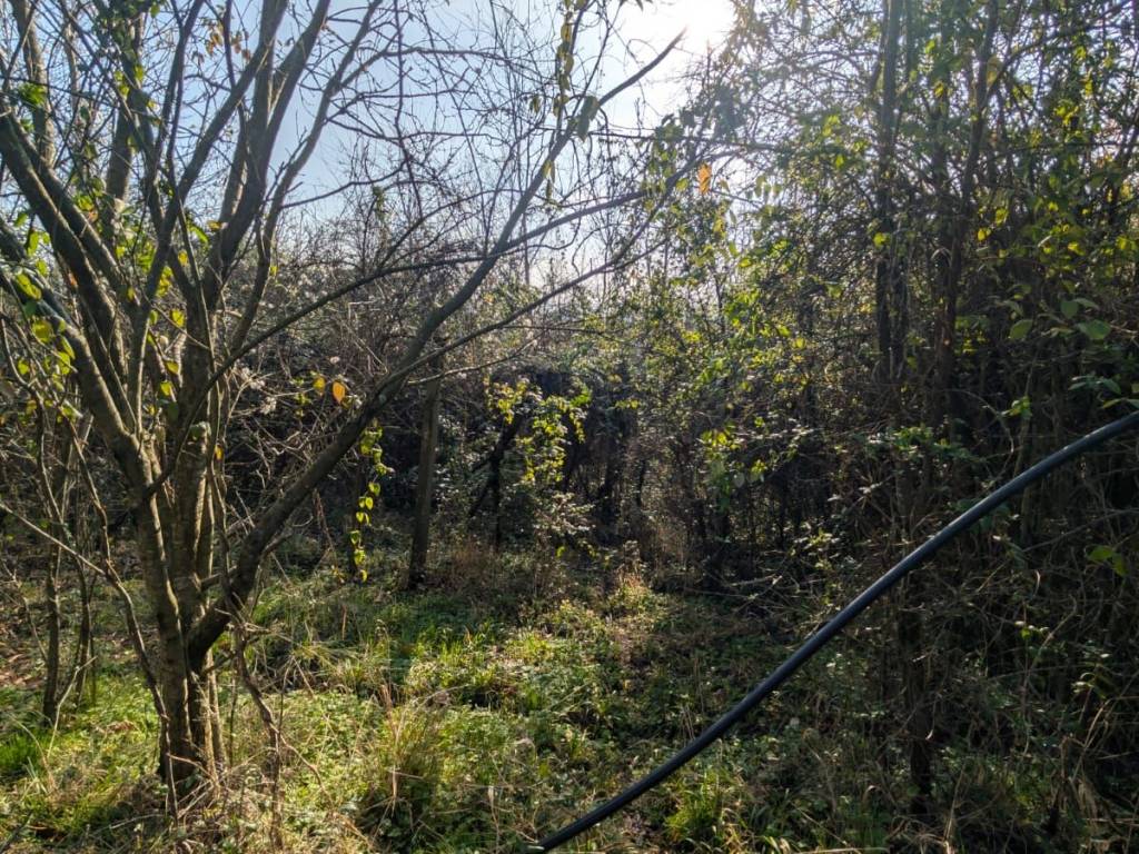 Terreno a Arzignano in Via Fratta Bassa - Foto 4