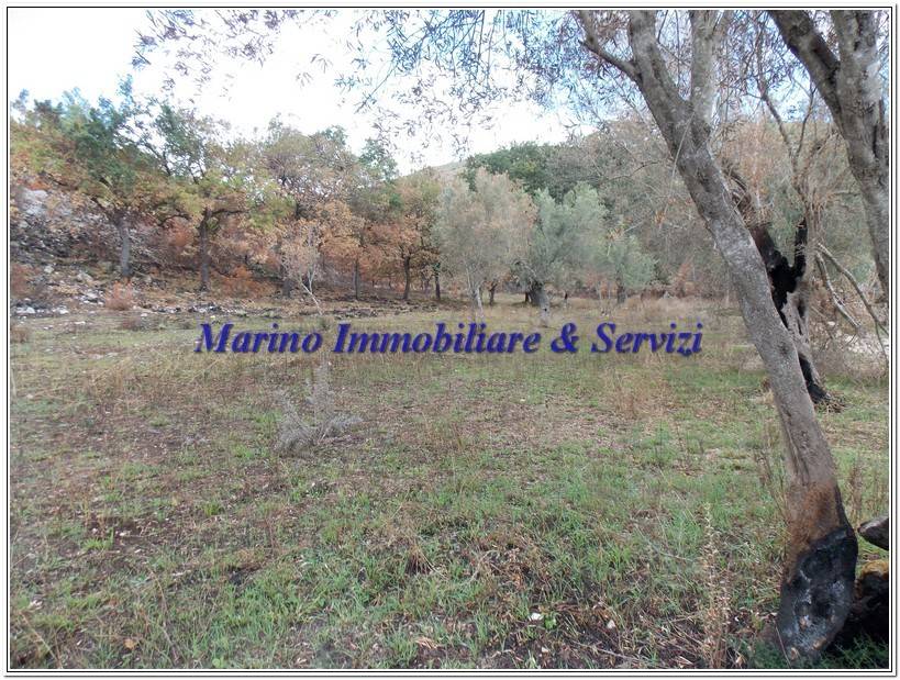 Terreno a Calvi risorta in Via Piccola di Lourdes, 51 - Foto 3