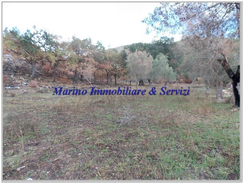 Terreno a Calvi risorta in Via Piccola di Lourdes, 51 - Foto 4