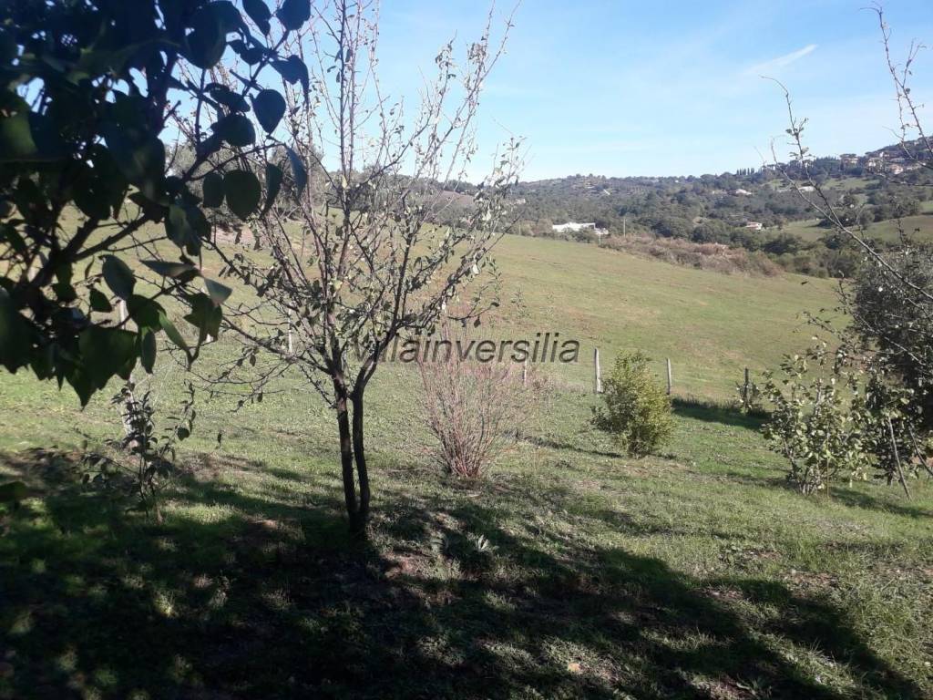 Rustico / casale a Manciano - Foto 4