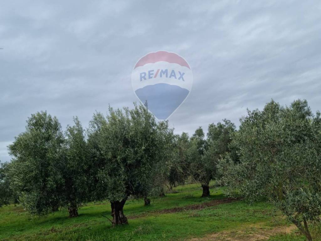 Terreno a Vittoria in contrada spedalotto - Foto 2