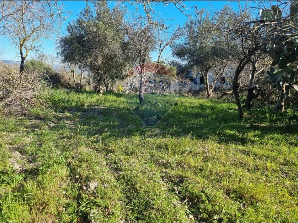Terreno a Vittoria in contrada spedalotto - Foto 4