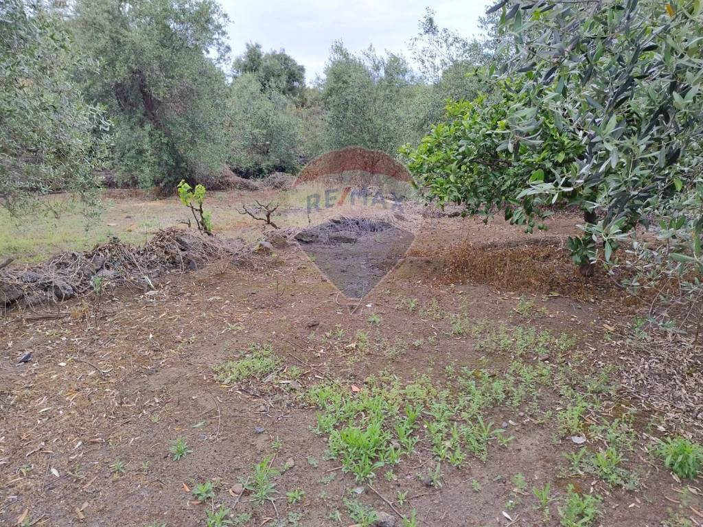 Terreno a Catania in VIA CAPRICORNO, 16 - Foto 2