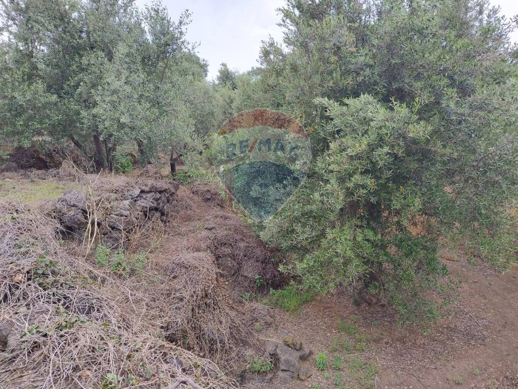 Terreno a Catania in VIA CAPRICORNO, 16 - Foto 3