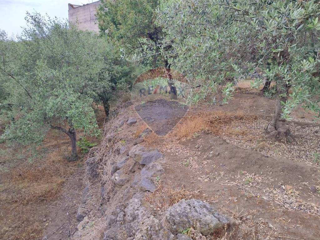 Terreno a Catania in VIA CAPRICORNO, 16 - Foto 5