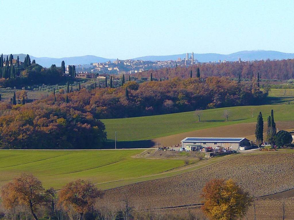 Appartamento a Castelnuovo berardenga - Foto 5