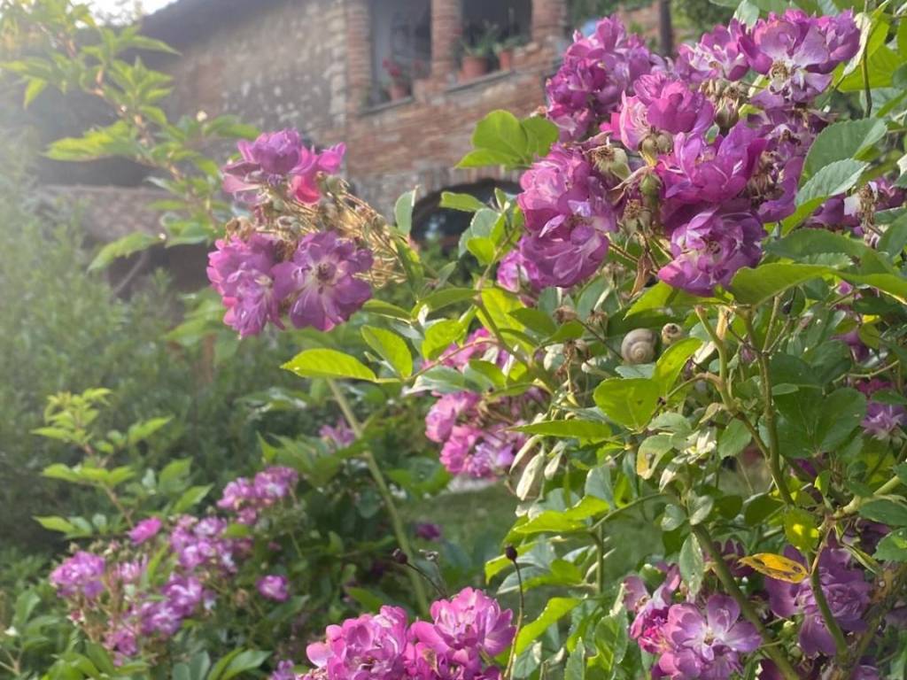 Rustico / casale a Narni in Via Tiberina - Foto 2