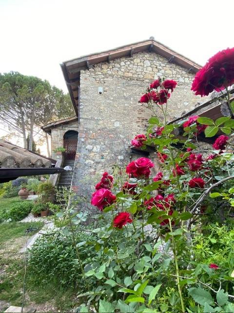 Rustico / casale a Narni in Via Tiberina - Foto 3