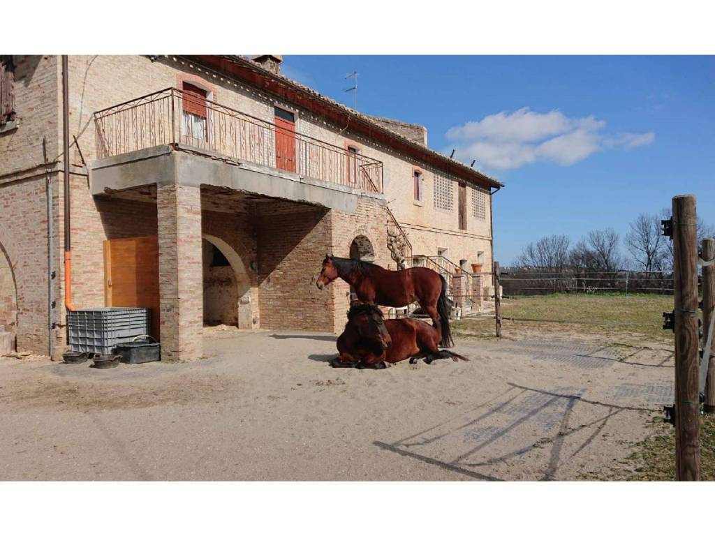 Rustico / casale a Civitanova marche in Contrada San Savino - Foto 2