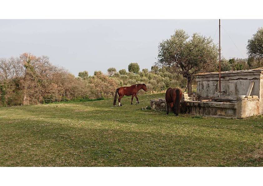 Rustico / casale a Civitanova marche in Contrada San Savino - Foto 3