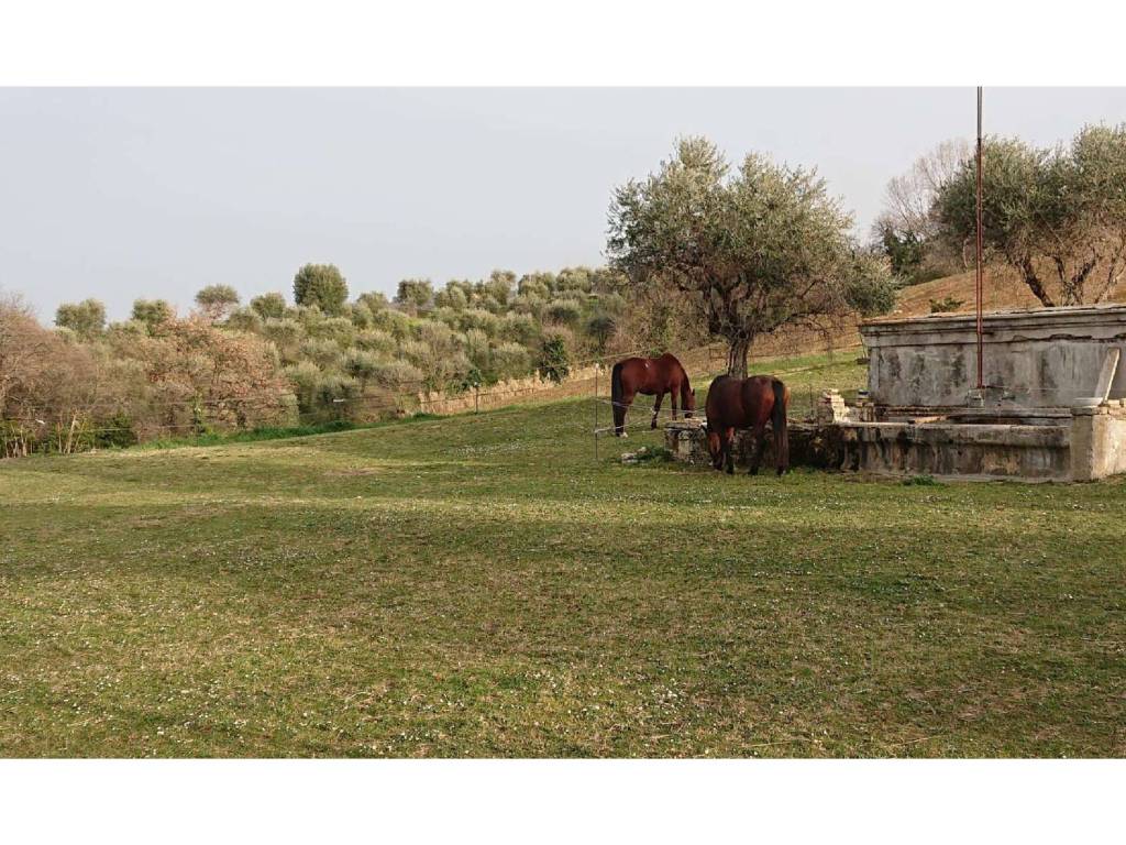 Rustico / casale a Civitanova marche in Contrada San Savino - Foto 4