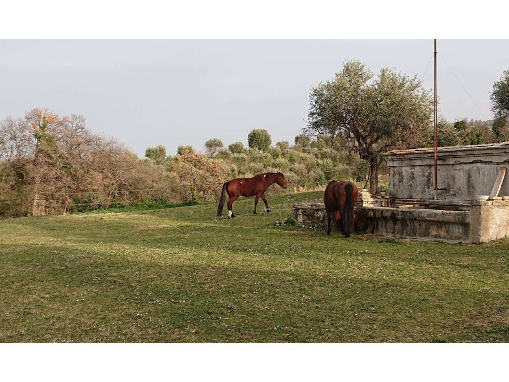 Rustico / casale a Civitanova marche in Contrada San Savino - Foto 5