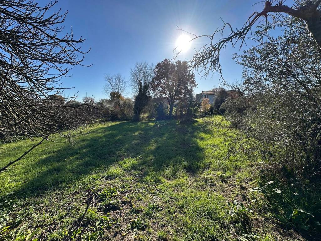 Terreno a Castel sant'elia in Località I Monti , SNC - Foto 3