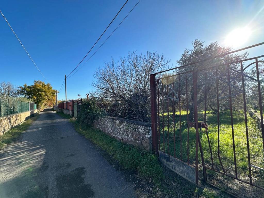 Terreno a Castel sant'elia in Località I Monti , SNC - Foto 5
