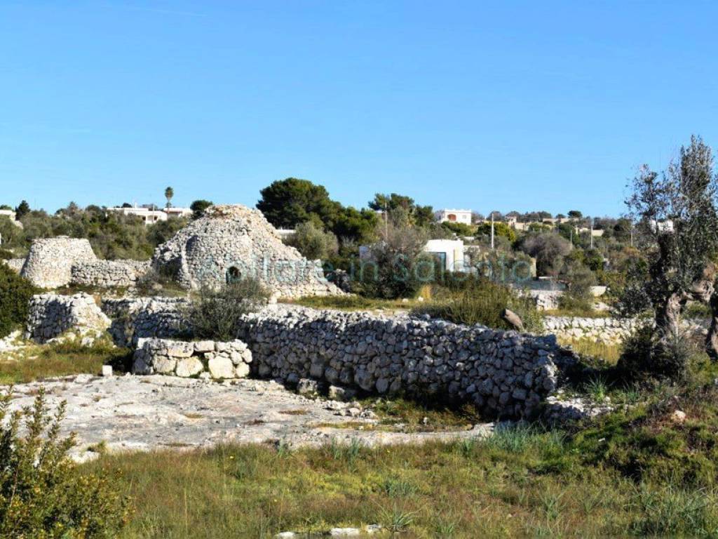 Terreno a Morciano di leuca - Foto 2
