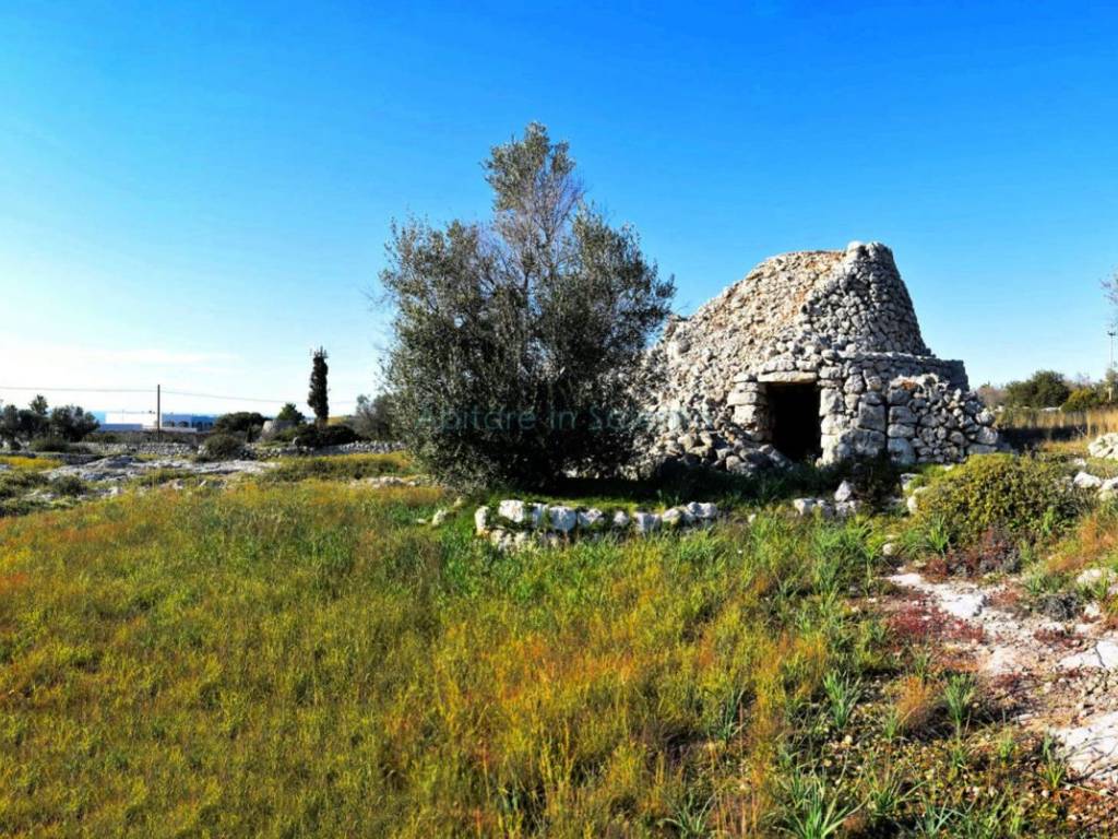 Terreno a Morciano di leuca - Foto 3