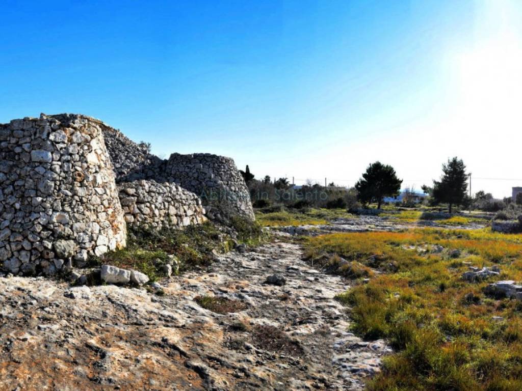 Terreno a Morciano di leuca - Foto 4