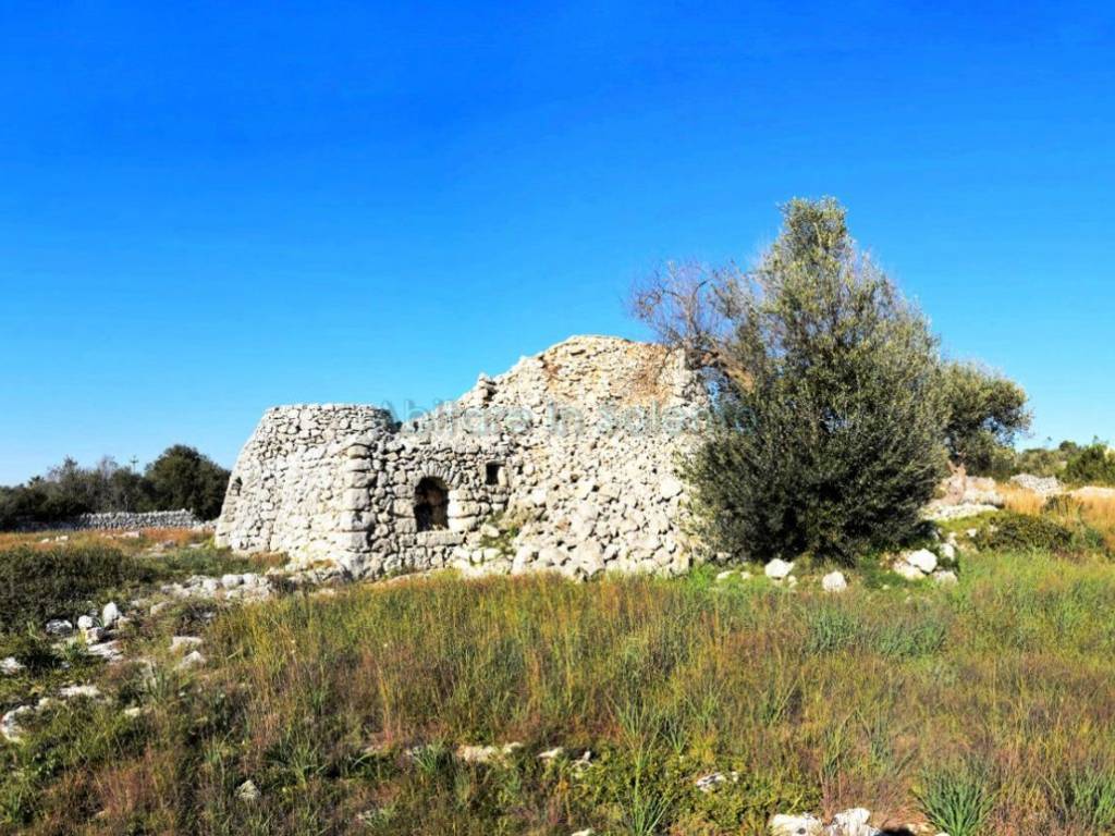 Terreno a Morciano di leuca - Foto 5
